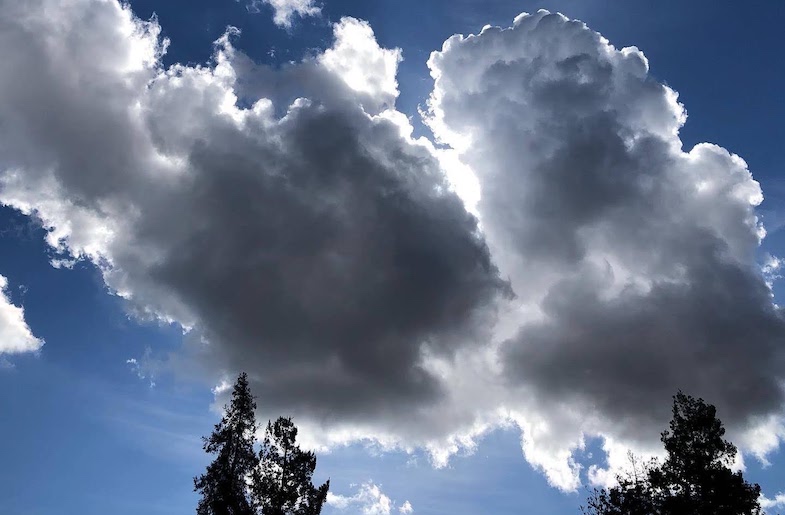 My Son's Pandemic Ponderings: Why is Our Sky Not Green? - Vimarsana News