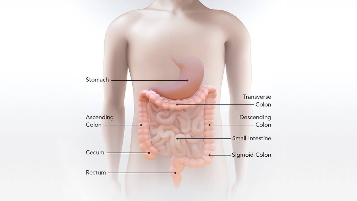 Coping With Colorectal Cancer